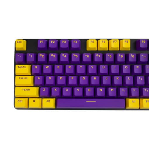 OEM Purple and Yellow Doubleshot PBT Keycaps Left