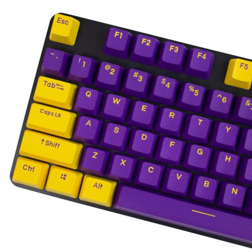 OEM Purple and Yellow Doubleshot PBT Keycaps Main