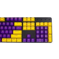 OEM Purple and Yellow Doubleshot PBT Keycaps Right